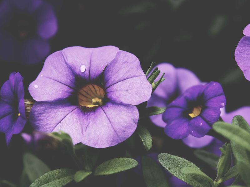 sudoku error checking screenshot 3